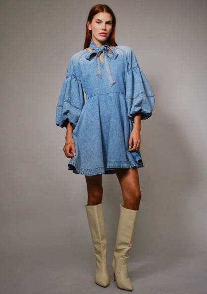 The Denim Darling Dress