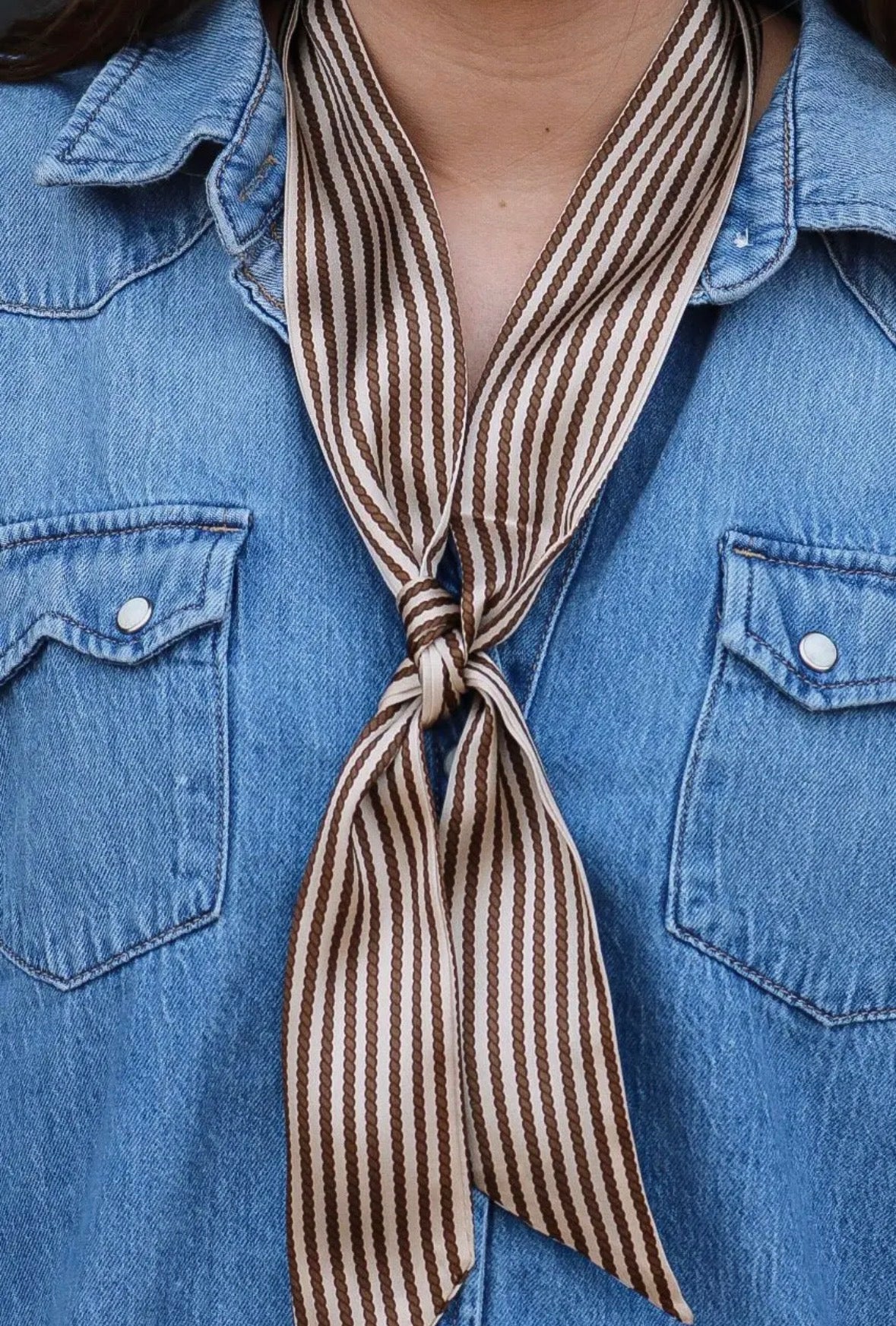 SADDLE STRIPE TWILLY
