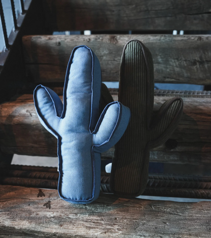 Kick A Cactus Pillow